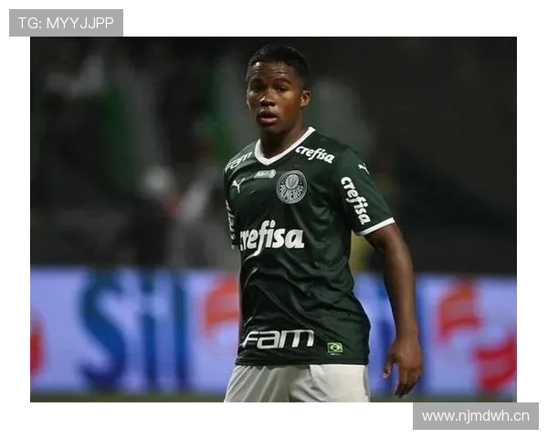 恩德里克在不同战术体系中的前锋角色适配性分析